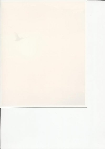 This is picture 1