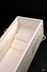 This is picture 1